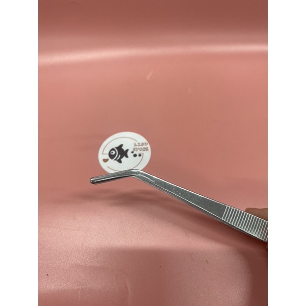 Nhíp mũi CONG trồng cây thủy sinh bằng inox SIZE 25 cm