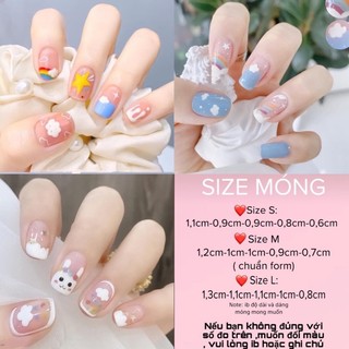 Nailbox ,10 móng úp thiết kế , vẽ hoạ tiết nhiều màu.