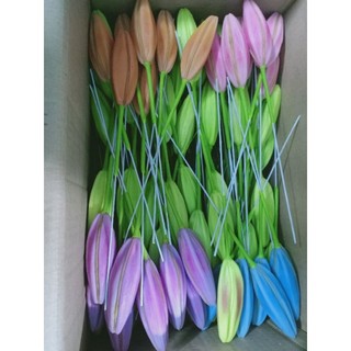 Nụ, nhụy hoa ly đất sét