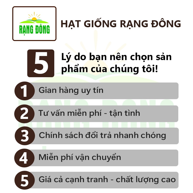 Hạt giống Họ Đậu trồng quanh năm, sinh trưởng khỏe, Hạt giống rau củ quả trồng chậu - Hạt giống Rạng Đông