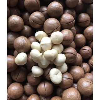 Hạt Macca Đak Lak