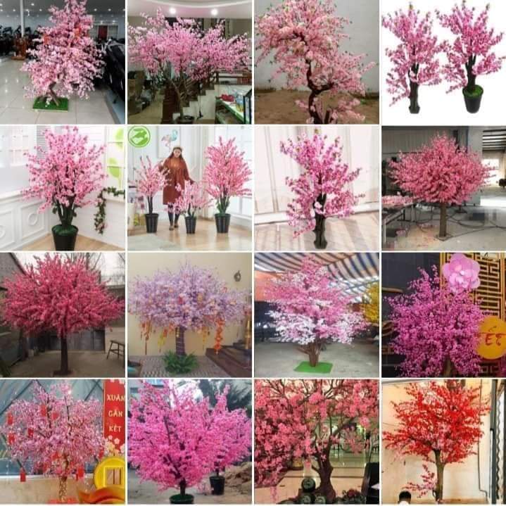 Cành Hoa Anh Đào, Hoa mai Trang Trí ,Kết Cây, Cắm Bình ,Decor nhà cửa