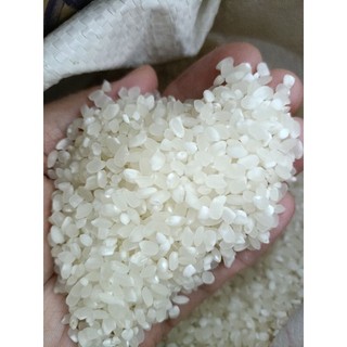 Gạo nếp tú lệ/đặc sản yên bái 1kg - gạo dẻo ngon