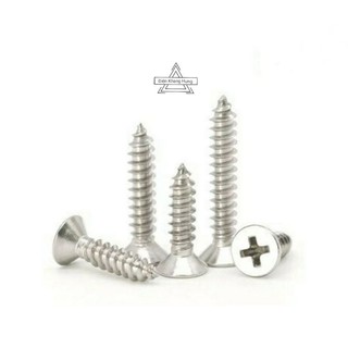 10 Con Vít bắt tường tắc kê nhiều size