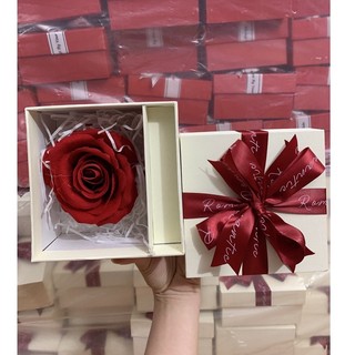 Hộp quà tặng đựng son hoa hồng