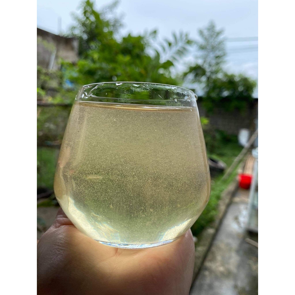 MẬT ONG TRẮNG MÙ CANG CHẢI YÊN BÁI NGUYÊN CHẤT 100%