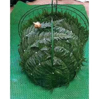 Lụp Quốc Thửa Mẫu Mới 2022