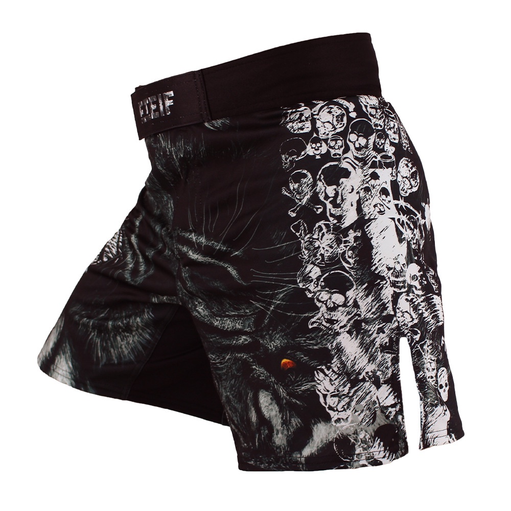 Quần Short Thể Thao Mma Chuyên Dụng Cho Tập Võ Taekwondo Sanda Muay Thai
