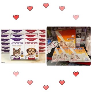 Sữa bột Biomilk 100gr / Dr.Kyan Predogen Precaten 110gr cho chó mèo 🍼