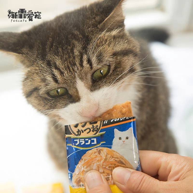 PATE CIAO INABA DÒNG CÁ NGỪ NƯỚNG NGON TUYỆT HẢO 15g