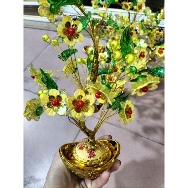 Sỉ 10 gốc sen, gốc thỏi vàng làm cây tài lộc, cây cành vàng lá ngọc Thuylamshop