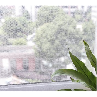 Lưới chống côn trùng dán cửa sổ