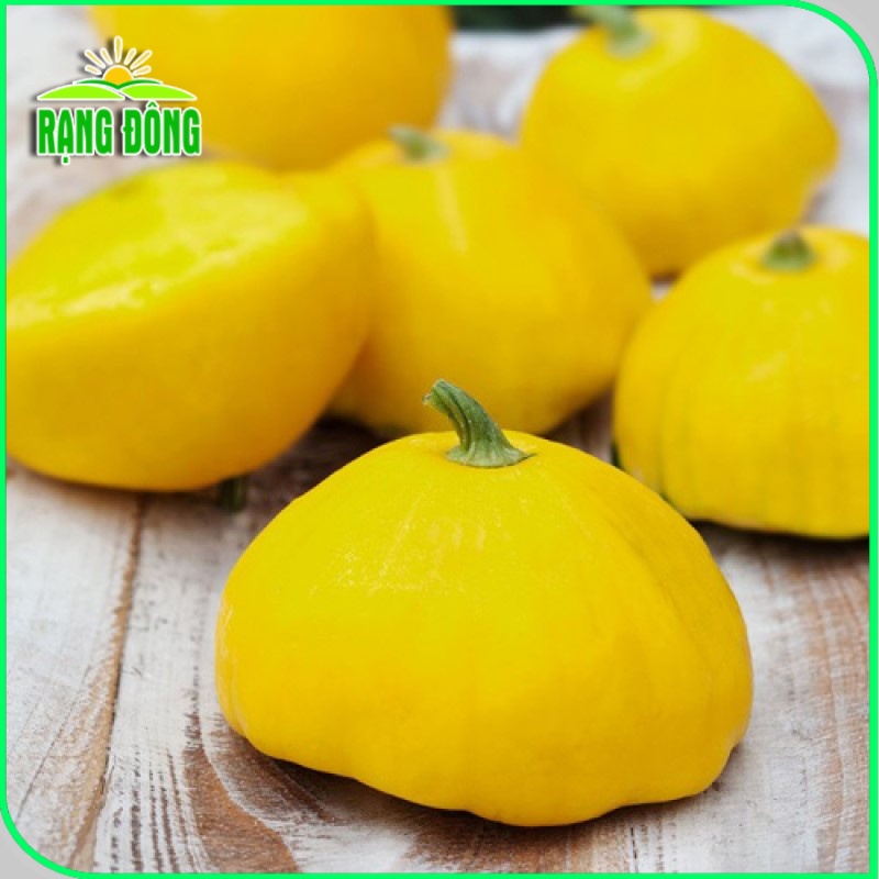 Hạt giống Bí Đĩa Bay Vàng thịt dày, trồng quanh năm, dễ chăm sóc (Gói 1 gr) - Hạt giống Rạng Đông