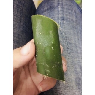 100 ống tre làm chả ốc