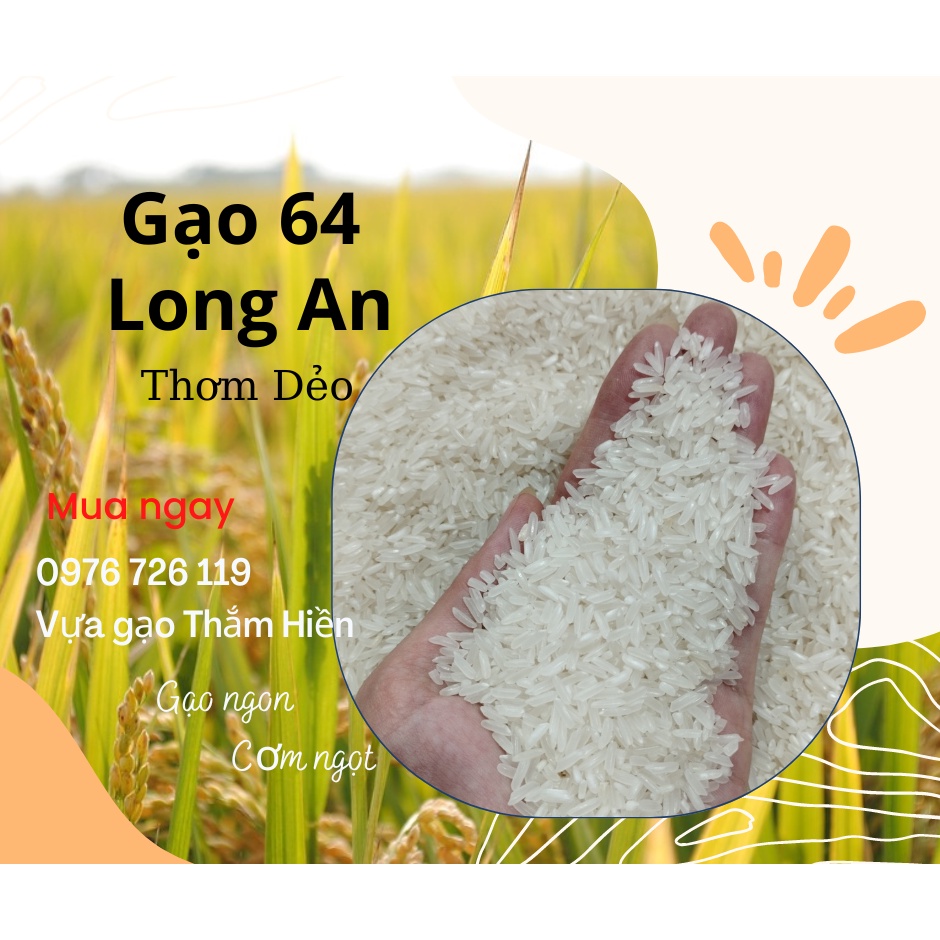 Gạo 64 Long An - Gạo Thơm Dẻo - Gạo Ngon Mềm Cơm 5KG