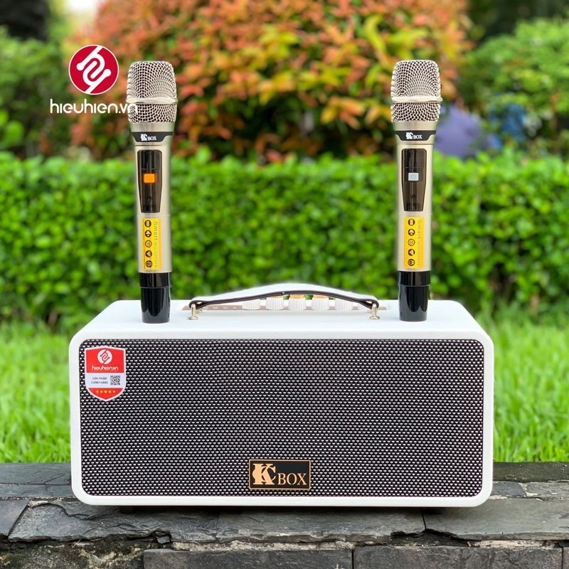 Loa karaoke di động CXF GL-8092, kèm theo 2 mic ko dây