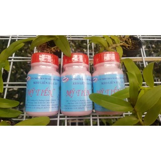 Keo Liền Da Cây Mỹ Tiến 100gr