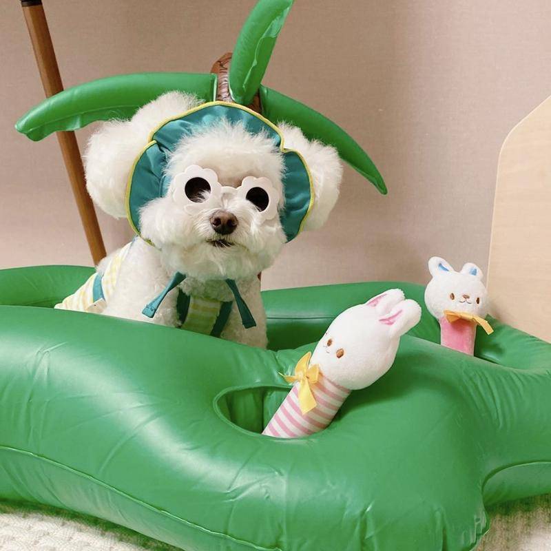 Kính Mát Hình Hoa Hướng Dương Dành Cho Thú Cưng