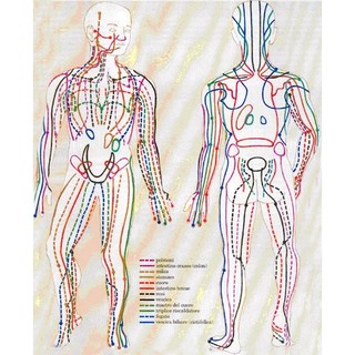 Sách - Hệ Thống Kinh Lạc (HT)