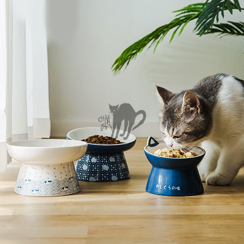 Bát Ăn Cho Mèo Phong Cách Nhật Bản Sứ Cao Cấp