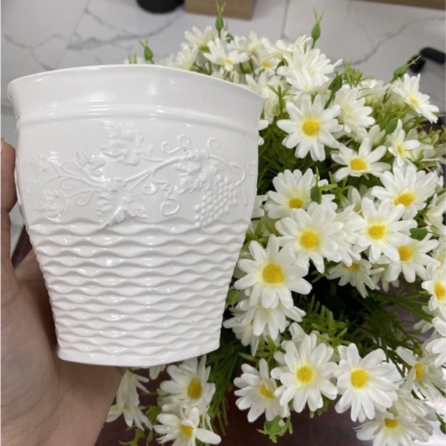 Chậu nhựa mini (lục giác nho), chậu mini trồng sen đá xương rồng