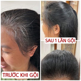 DẦU GỘI PHỦ BẠC TINH CHẤT SAFFRON