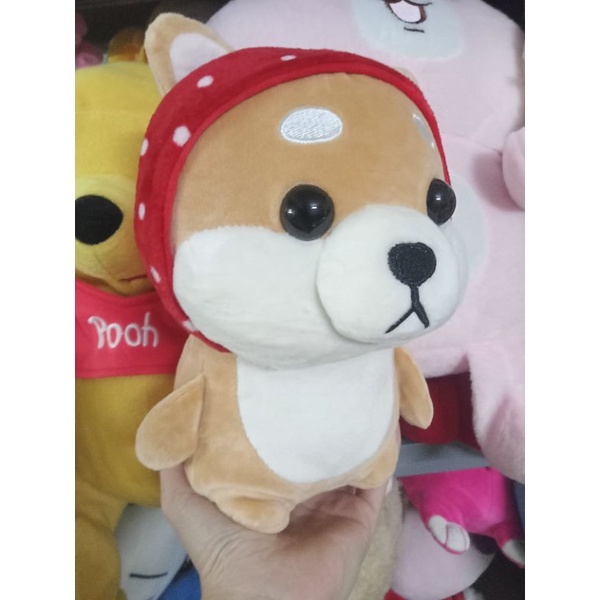 Gấu bông siba size 20-30cm