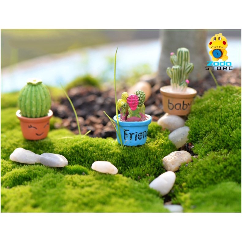 Phụ kiện xương rồng mini trang trí tiểu cảnh, nhà cửa, terrarium