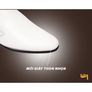 [ 6 CM ] Giày ĐỘN NAM T&TRA S952 T