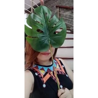 Lá rùa trang trí loại đẹp