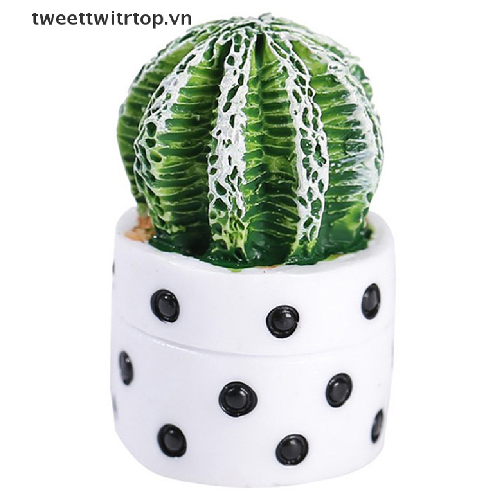 Chậu Cây Xương Rồng Mini Trang Trí Nhà Búp Bê