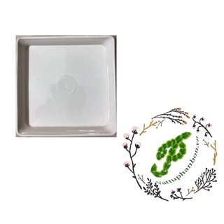 Đĩa lót chậu vuông 13cm - #066d#