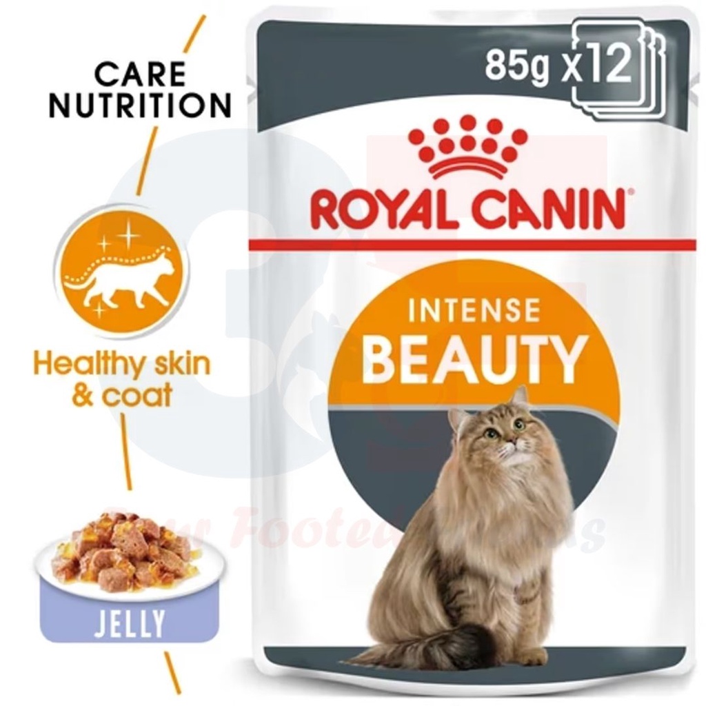 Pate Cho Mèo Hỗ Trợ Chăm Sóc Da Lông: Royal Canin Intense Beauty Jelly Gói 85