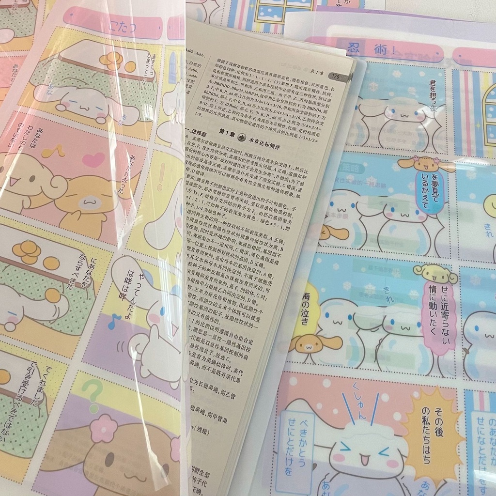 Túi Đựng Thẻ A4 Bằng PVC Họa Tiết Hoạt Hình Sanrio mymelody Kuromi Cinnamoroll Pachacco Dễ Thương