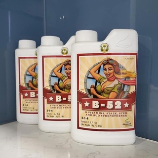 Advanced Nutrients B52 Bổ sung vitamin + khoáng chất cho cây
