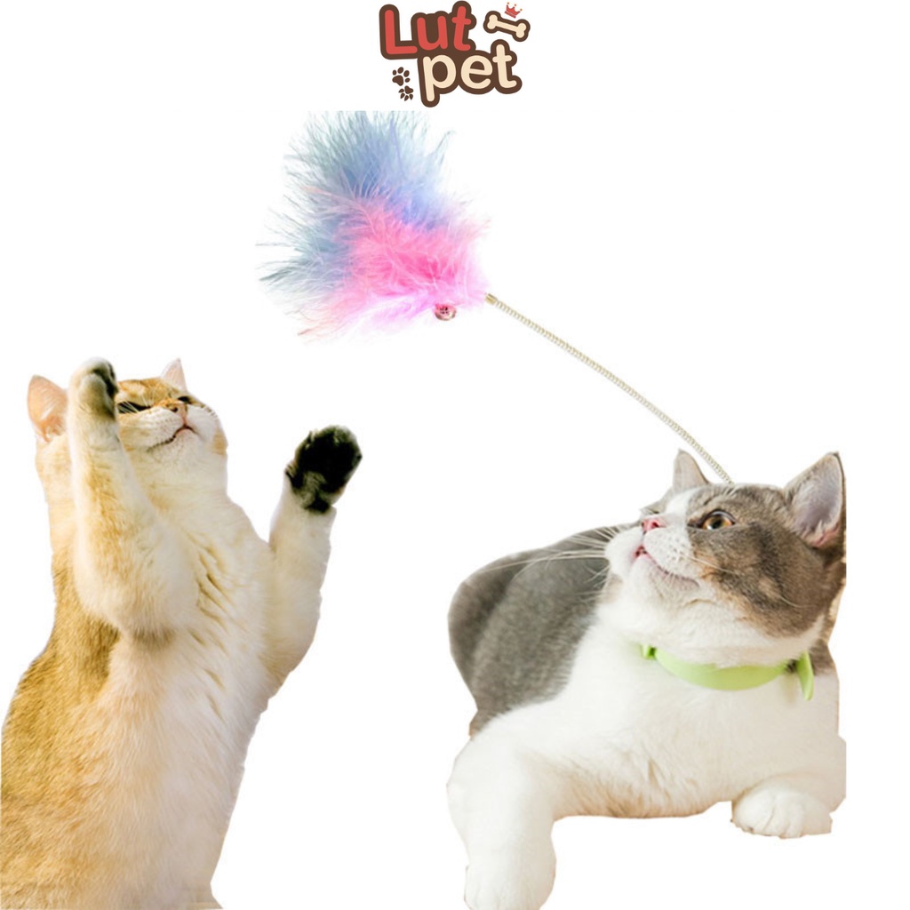 Cần câu mèo đeo cổ tự chơi, đồ chơi tự tương tác cho chó mèo - lutpet