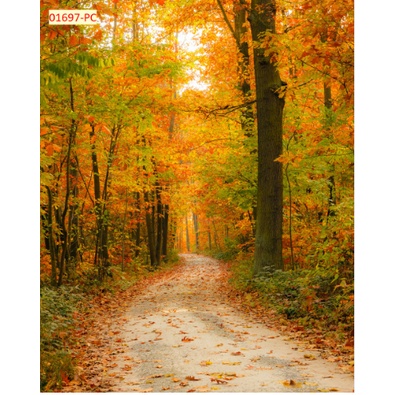 Tranh 3D Hàng Cây, Rừng Cây, Cây Xanh Dán Tường Cao Cấp mới nhất