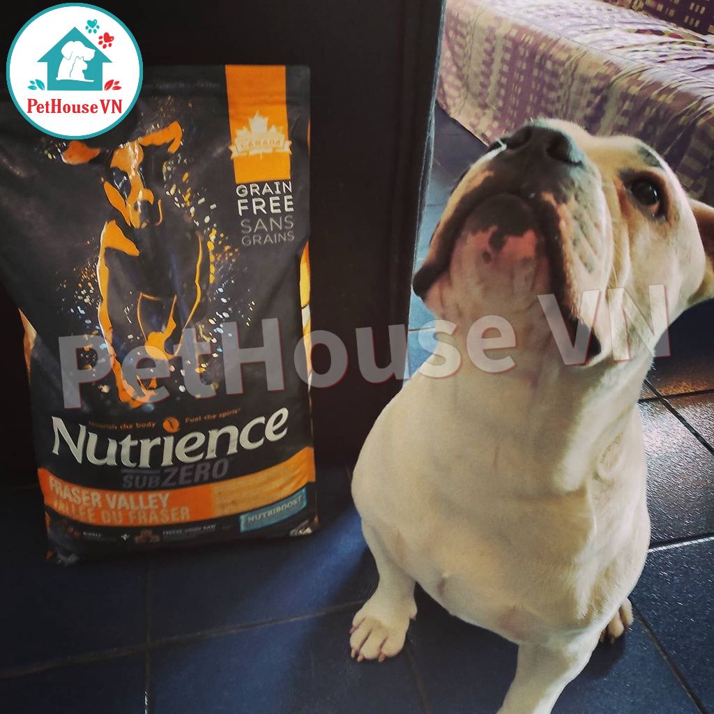 NUTRIENCE SUBZERO DOG - Túi 500G Thức Ăn Hạt Cho Chó Vị Gà Tây, Cá Hồi & Rau Củ Quả Hàng Chính Hãng