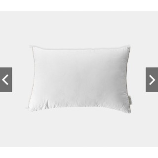 Ruột gối (SIÊU ÊM + có tem điện tử chính hãng) CLASSIC SOFT 45*65 (Gối Thấp)