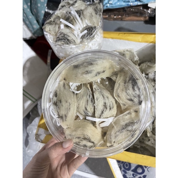 TỔ YẾN THÔ CÒN LÔNG YẾN NGUYÊN TỔ NGUYÊN CHẤT Nhà Nuôi Long an