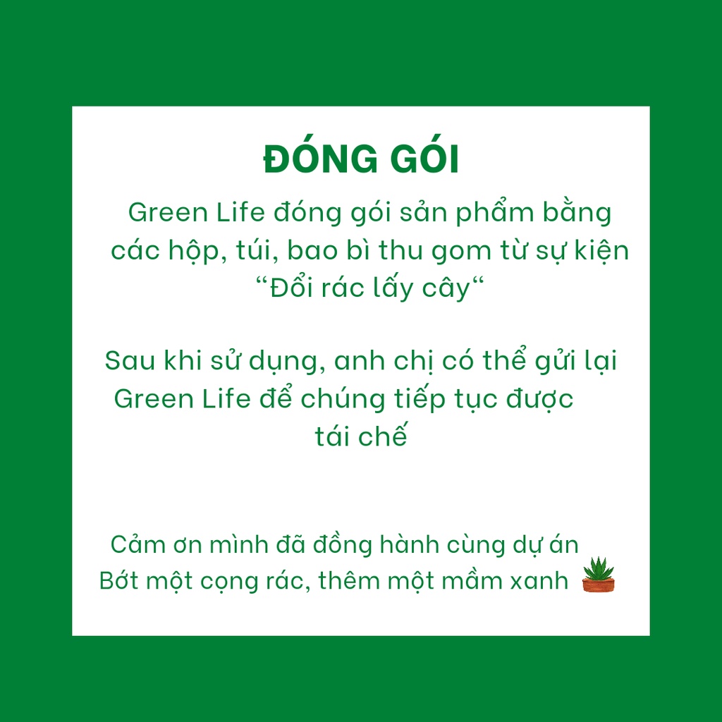 Combo Cô cà chua cọ toilet và giặt giũ