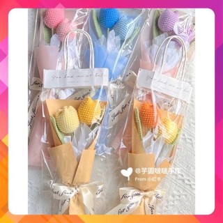 Hoa Len Tulip