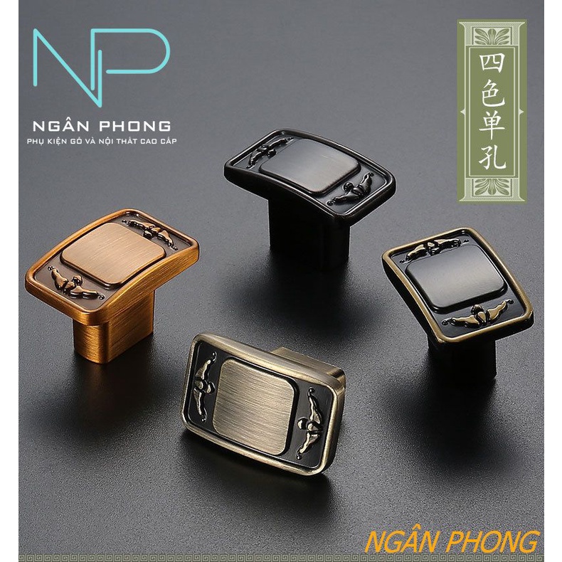 TAY NẮM TỦ-MẪU HK1