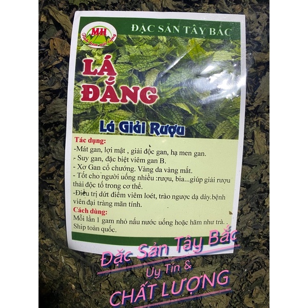 LÁ ĐẮNG lá dạ dày, lá cơm kìa