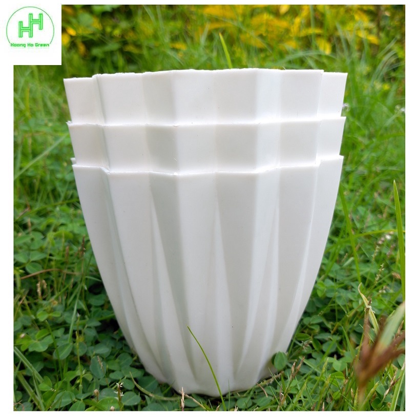 3 Chậu nhựa mini để bàn hình múi khế, KT:12x10 (miệng x cao), chậu trồng xương rồng, sen đá, cây cảnh mini - Màu Trắng
