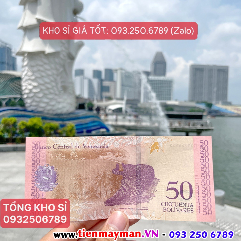 Tờ tiền hình con mèo mão 2023 của Venezuela may mắn lưu niệm làm quà tặng lì xì Tết