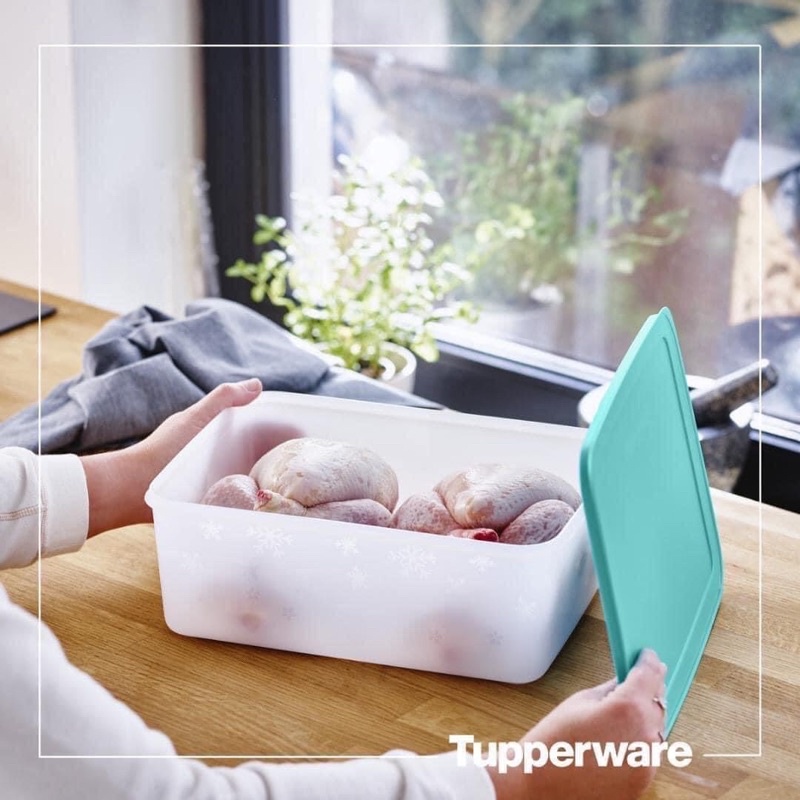 HỘP TRỮ ĐÔNG 5,7L TUPPERWARE, nhựa nguyên sinh, bảo hành trọn đời, đựng vừa 2 con gà.