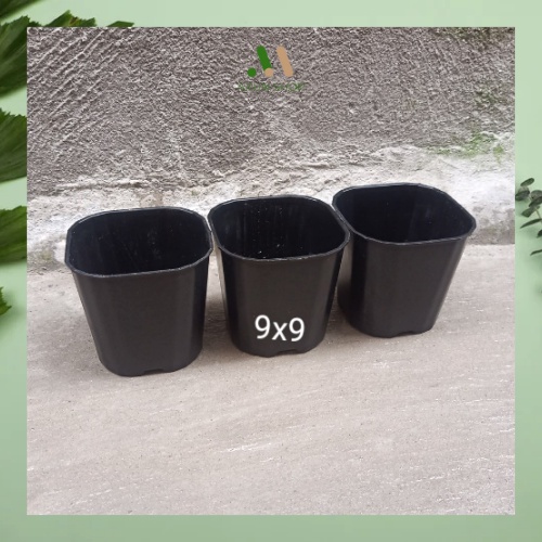 Chậu nhựa đen cứng trồng sen đá, xương rồng size 9x9 giá tại xưởng