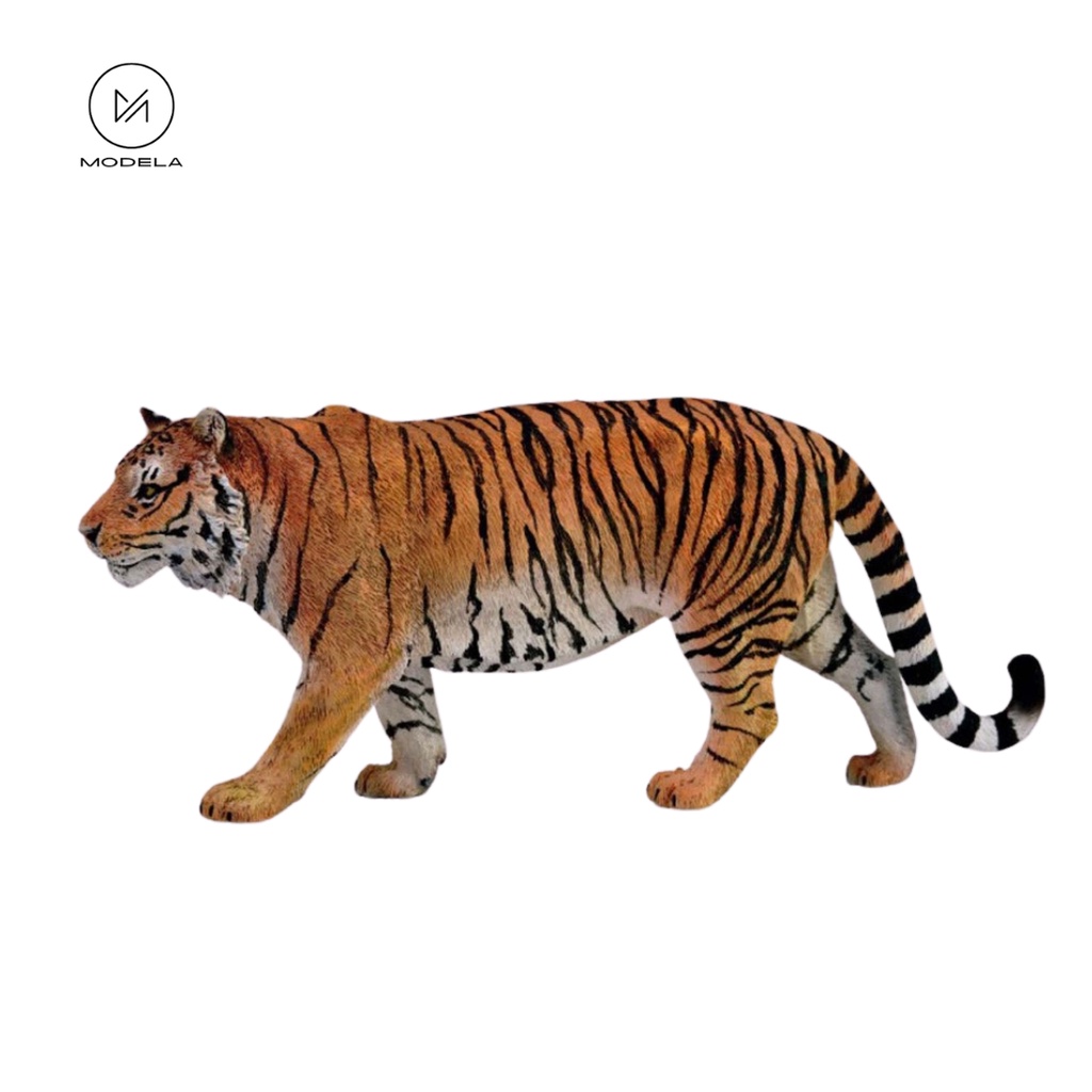 Đồ chơi mô hình động vật Hổ - Siberian Tiger