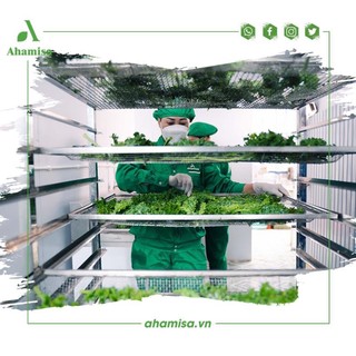 Sợi mì củ dền - mì rau củ sạch